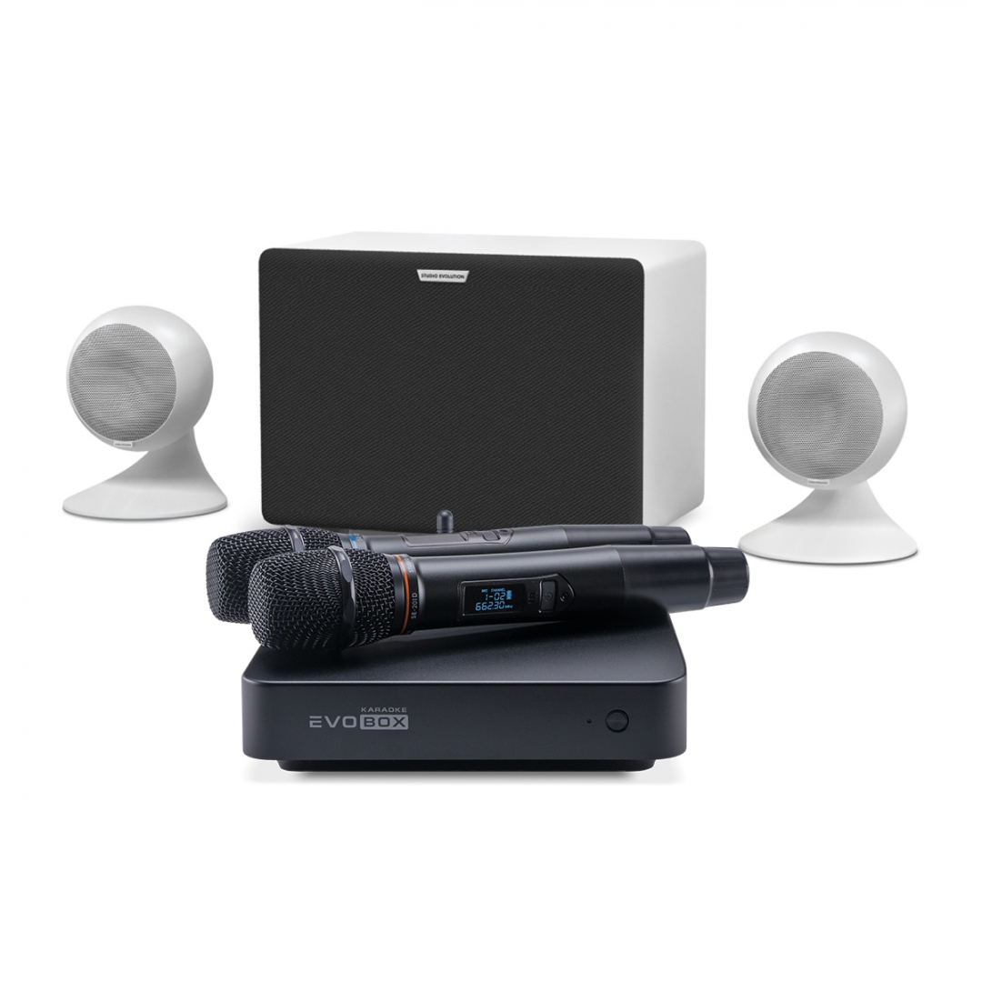 караоке-комплект EVOBOX Classic + EvoSound Sphere 2.1 в Ахтубинске