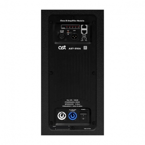 Активная акустическая система AST-310A в Ахтубинске