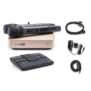 EVOBOX Classic караоке-система для дома в Ахтубинске