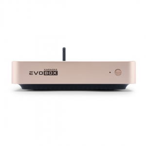 EVOBOX Plus караоке-система для дома в Ахтубинске