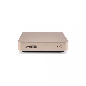 EVOBOX с микрофонами в Ахтубинске